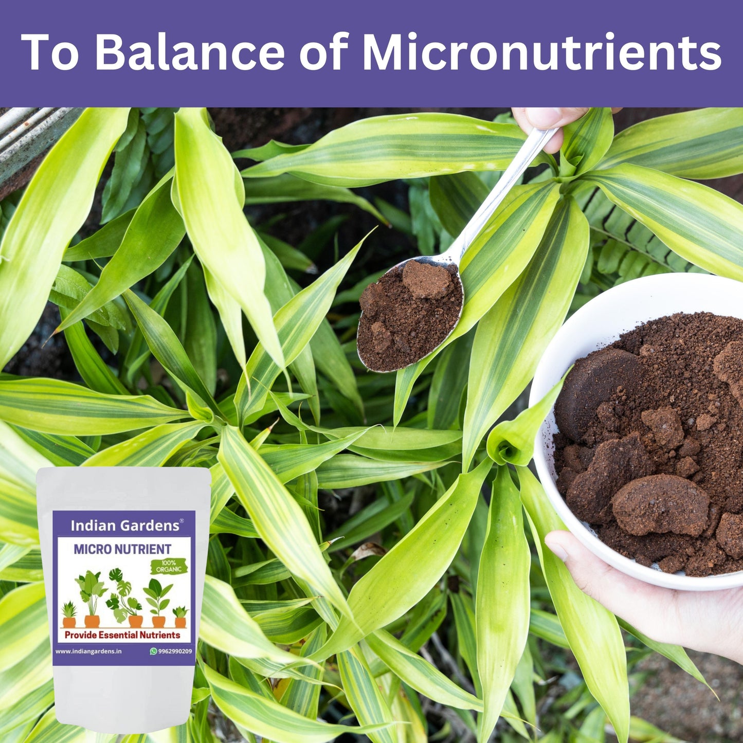 Micro Nutrient Fertilizer | Soil Applicant | Premium Essential Plant Food | Home Gardens for All Plants