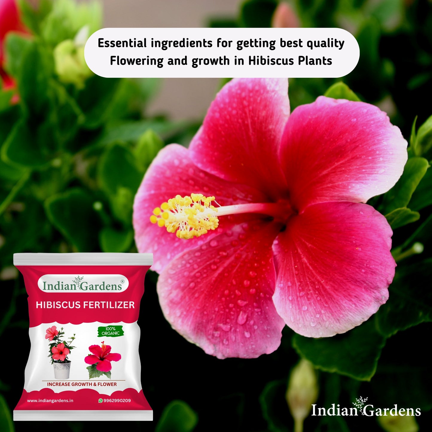 Hibiscus Fertilizer | Flowering Plant Fertilizer |Organic Plant Food For Flowering | Healthy Stems And Strong Roots