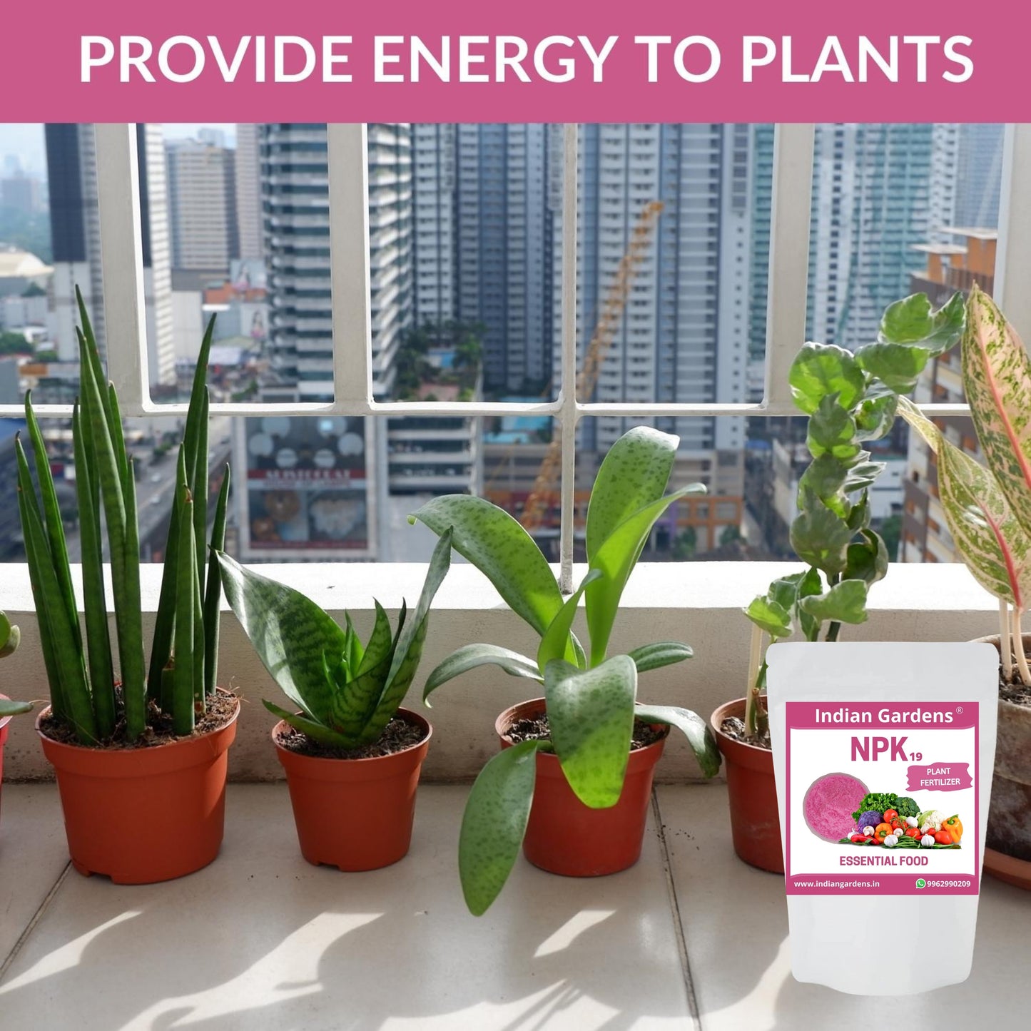 Npk 19 Fertilizer Powder For Plants