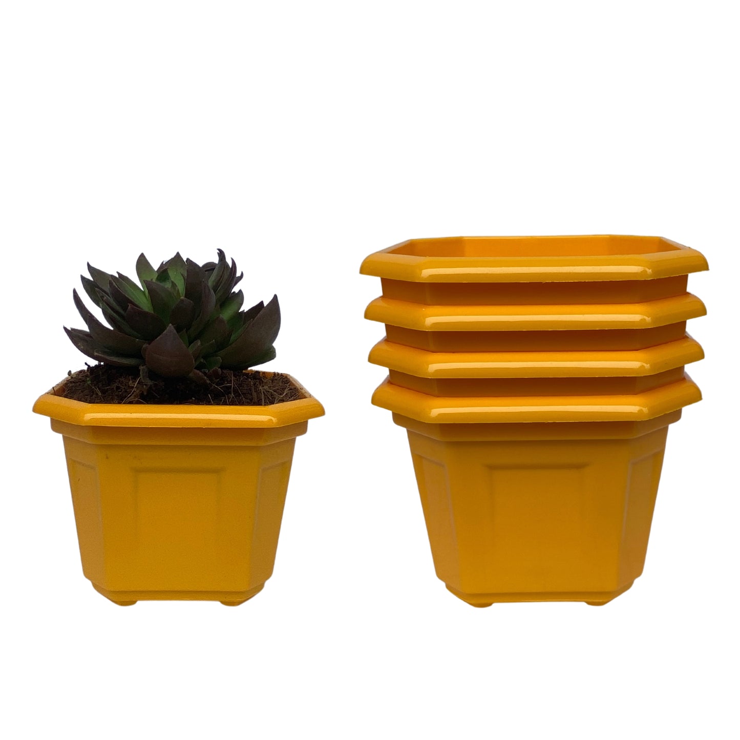 Indoor Plastic Small |Octa 4 Pots | Colour Pot