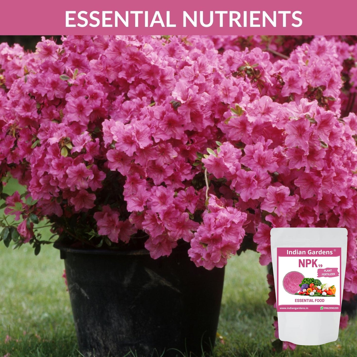 Npk 19 Fertilizer Powder For Plants