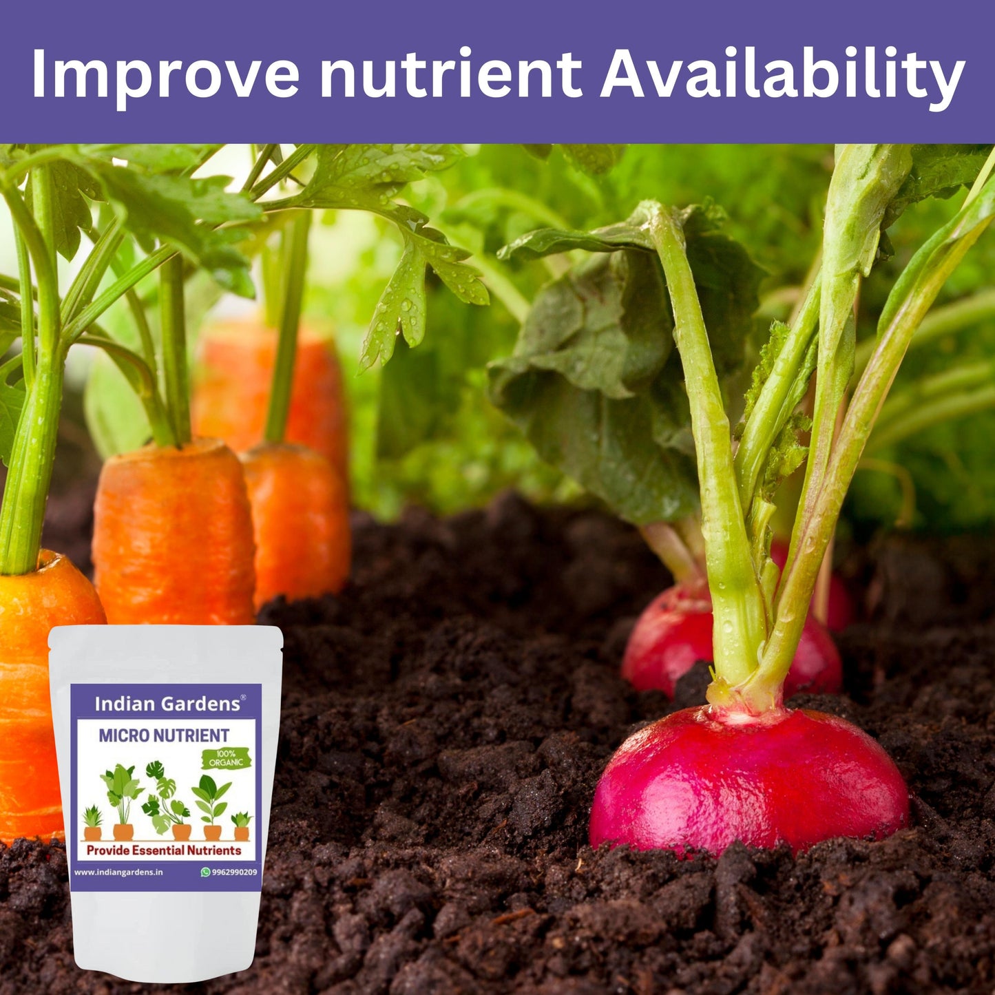 Micro Nutrient Fertilizer | Soil Applicant | Premium Essential Plant Food | Home Gardens for All Plants