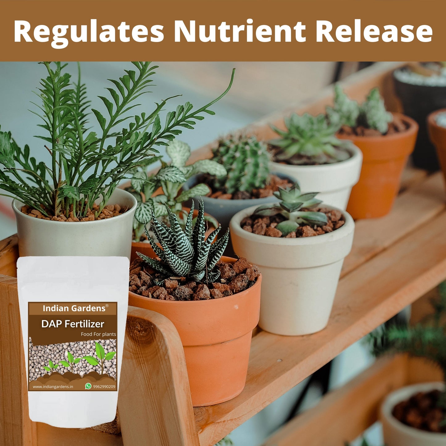 Organic Dap Similar To Organic Plant Food Prom Fertilizer Powder For Plants | Plant Nutrient And Plant Food | Gardening