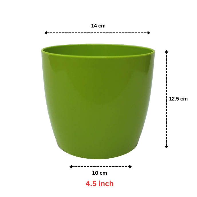 Indoor Plastic Small |Any Colour - Pack of 6