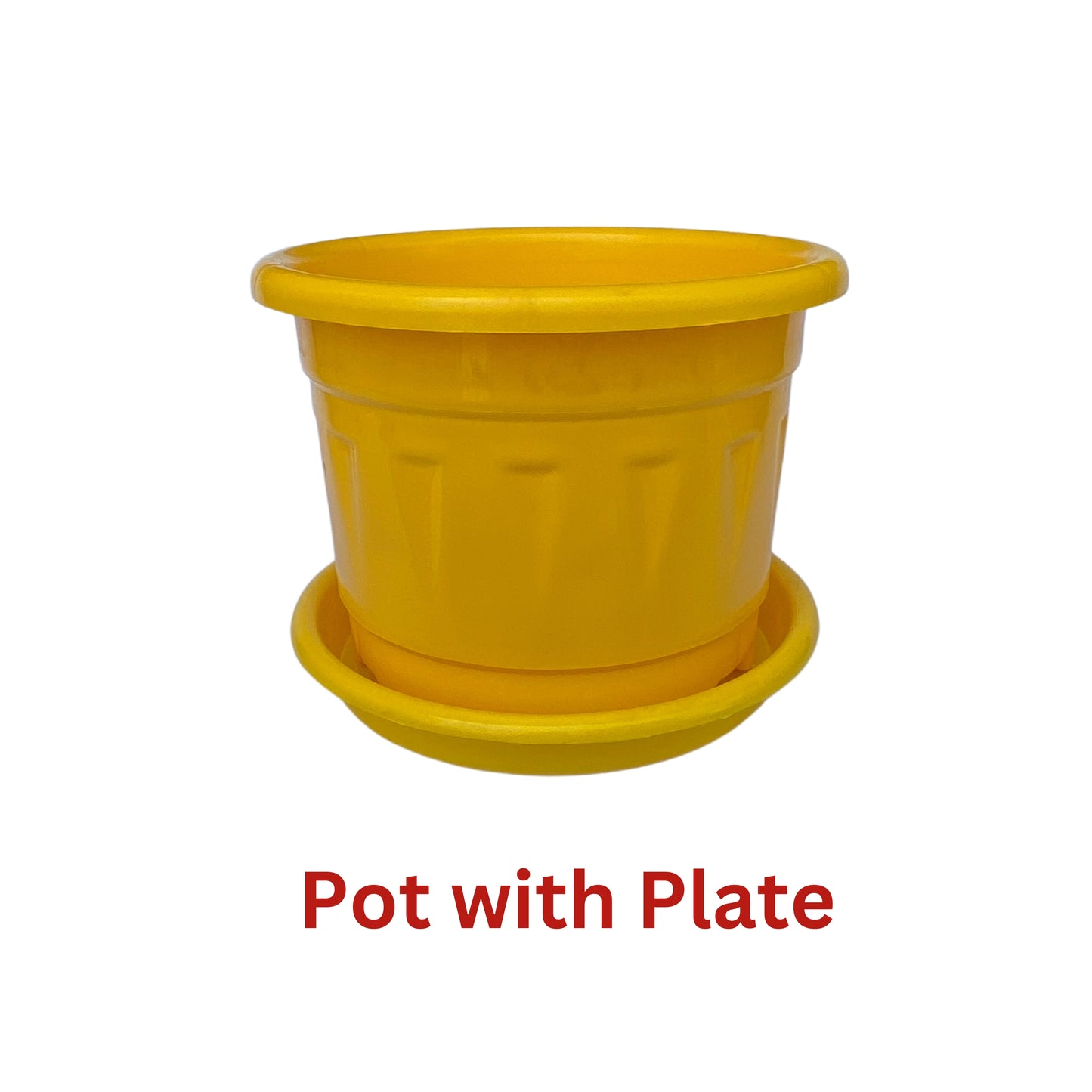 8 Inch Nursery Plastic Pot with Plate Colour