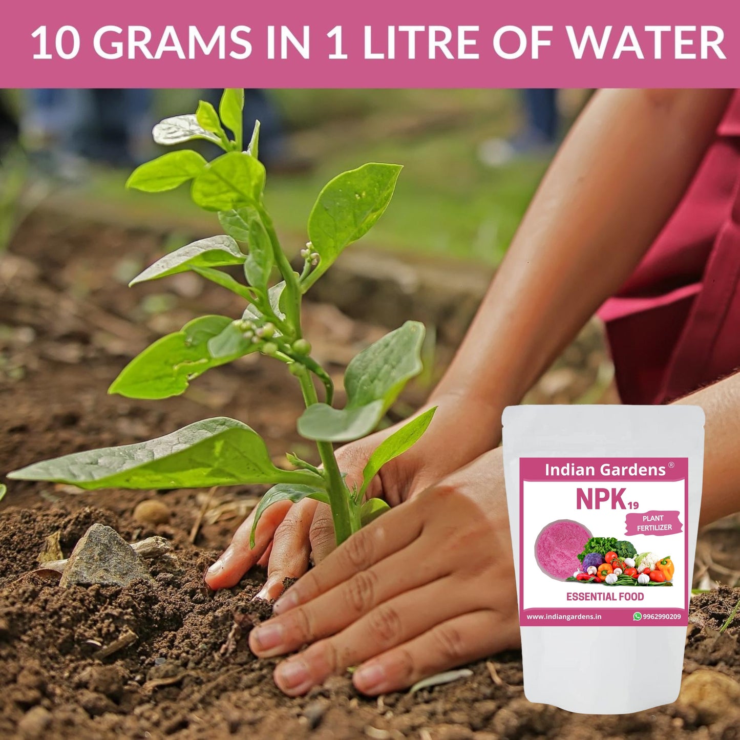 Npk 19 Fertilizer Powder For Plants