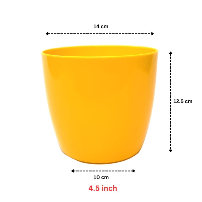 Indoor Plastic Small |Any Colour - Pack of 6