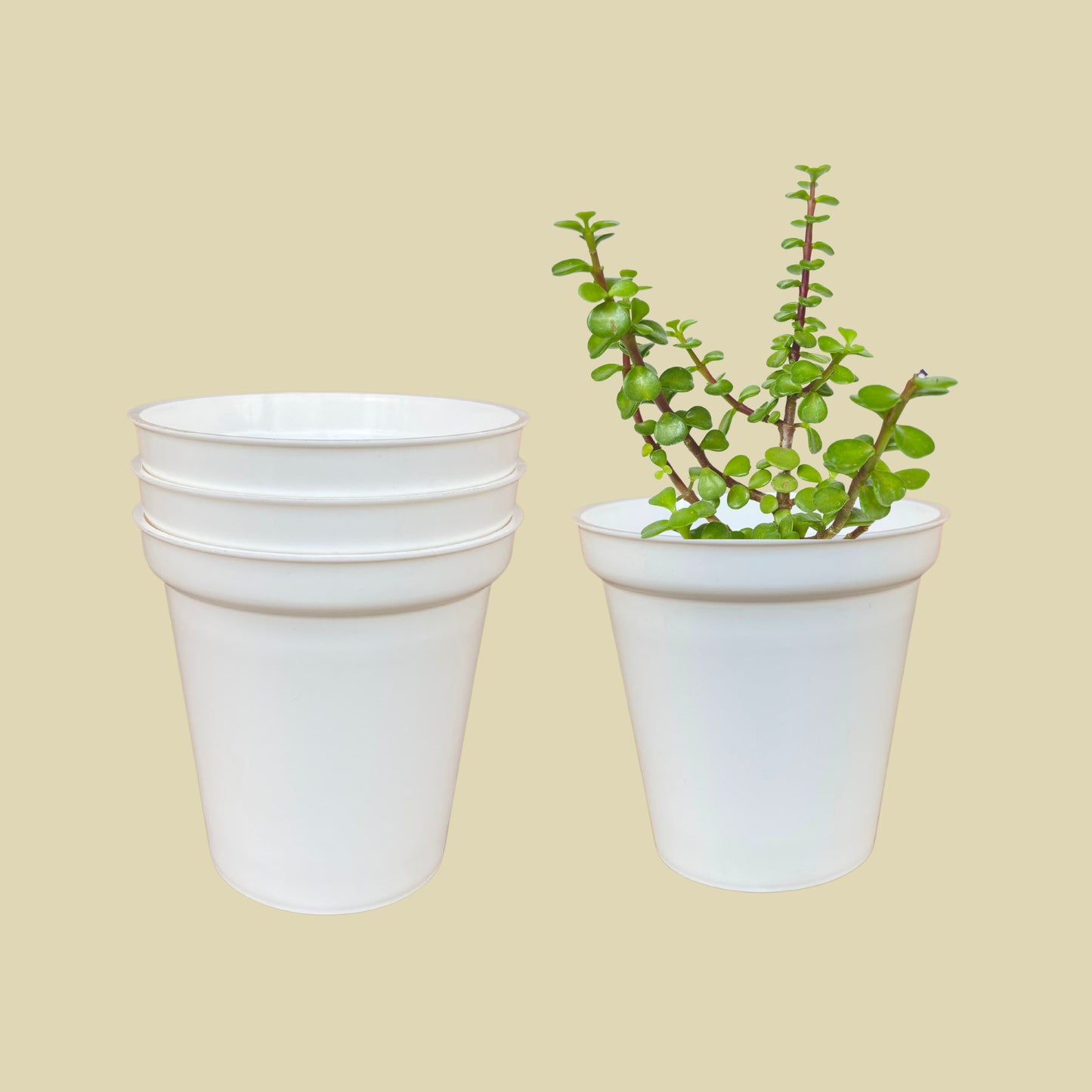 Indoor Plastic Glass White Colour Pots for Home Garden (Set of 4)
