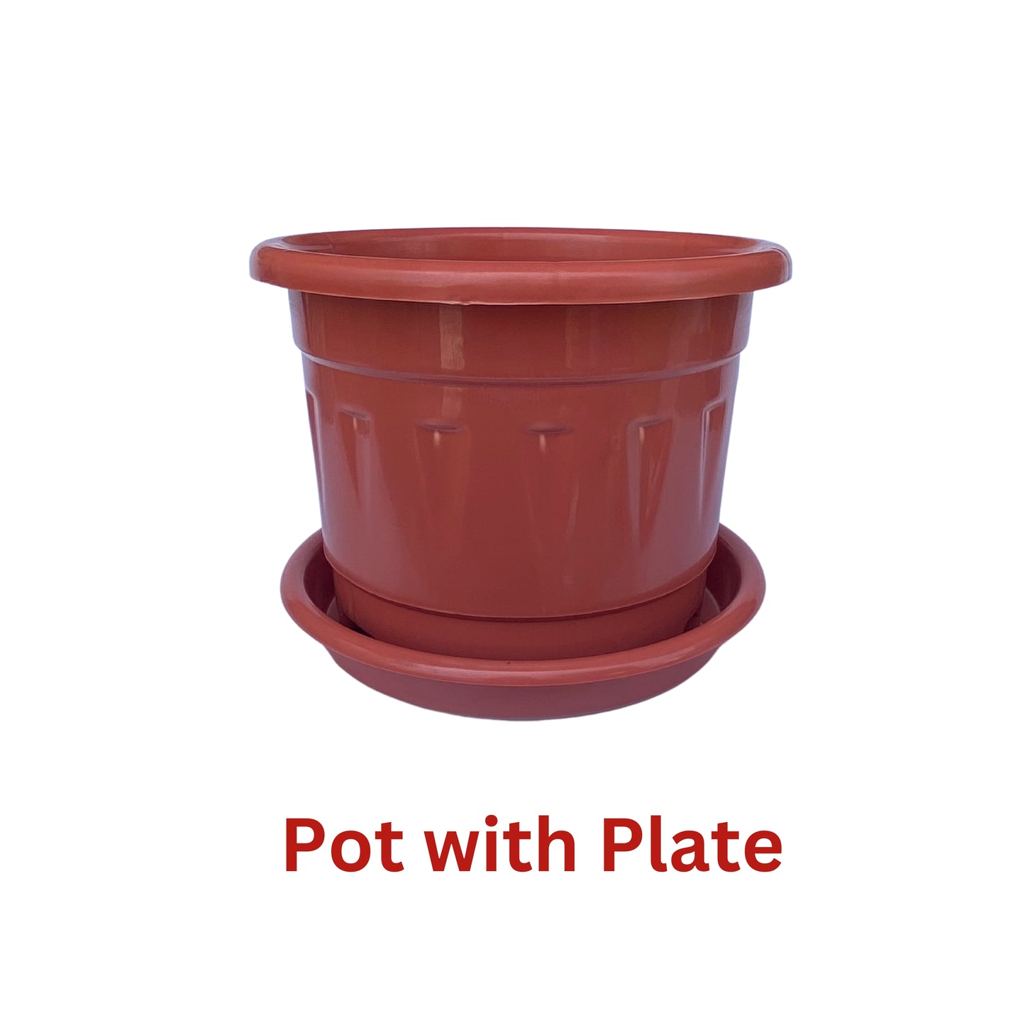 8 Inch Nursery Plastic Pot with Plate Colour