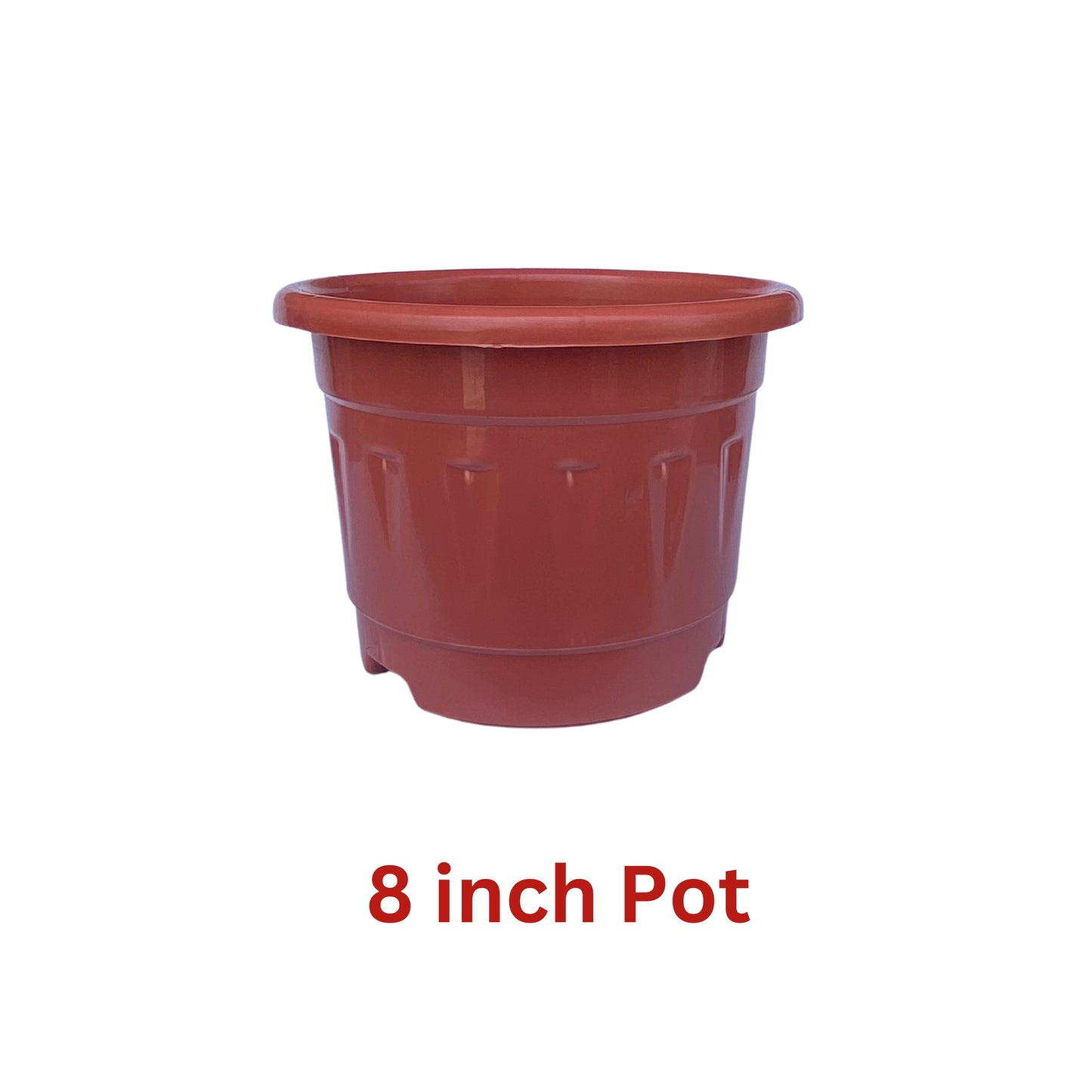 8 Inch Nursery Plastic Pot with Plate Colour