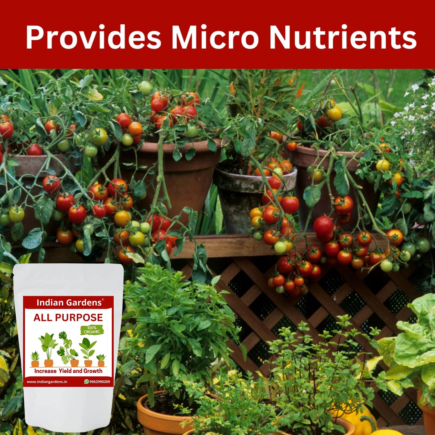 All Purpose Fertilizer for All Plants