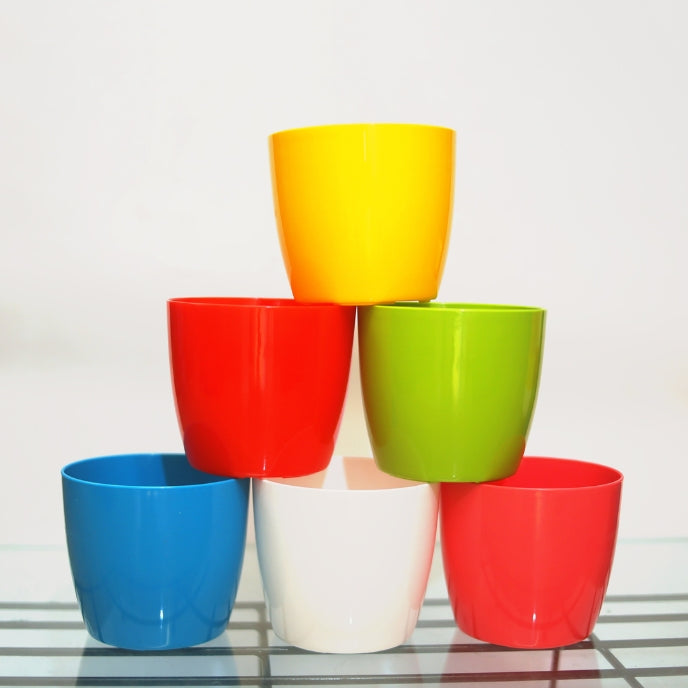 Indoor Plastic Small |Any Colour - Pack of 6