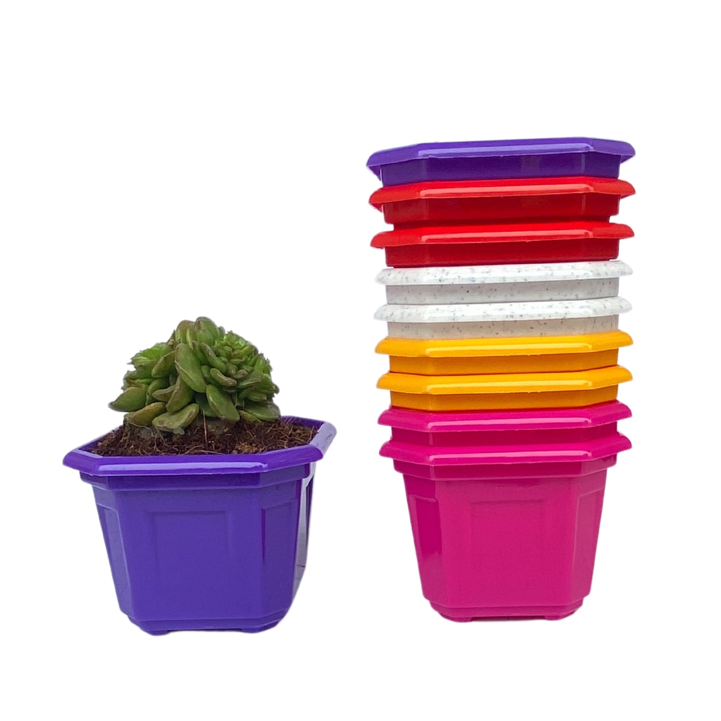 Indoor Plastic Small |Octa 4 Pots | Colour Pot