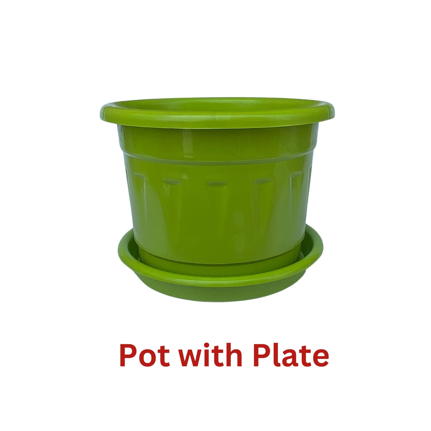 8 Inch Nursery Plastic Pot with Plate Colour