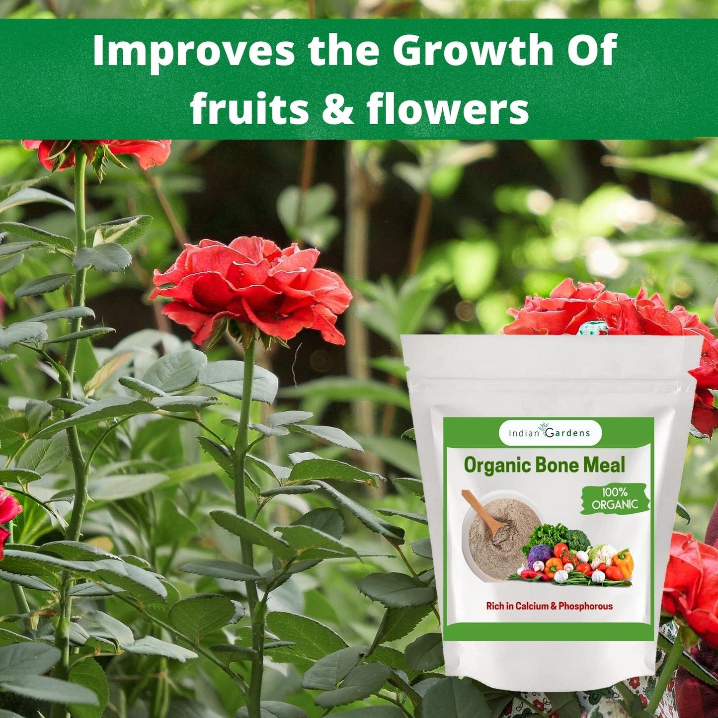 Bone Meal Powder 100% Organic Plant fertilizer | Rich in Calcium and Phosphorus | Plant Fertilizer | Home Gardening