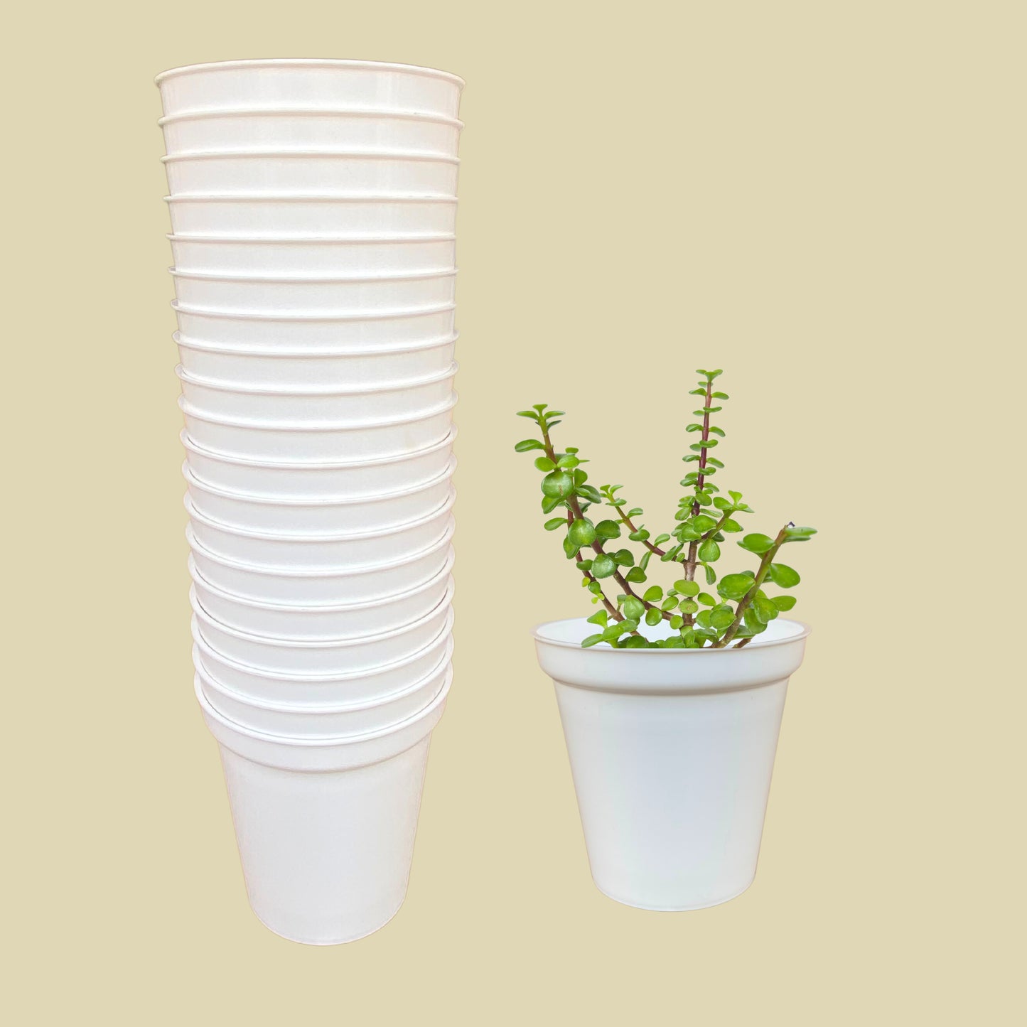 Indoor Plastic Glass White Colour Pots for Home Garden (Set of 20)