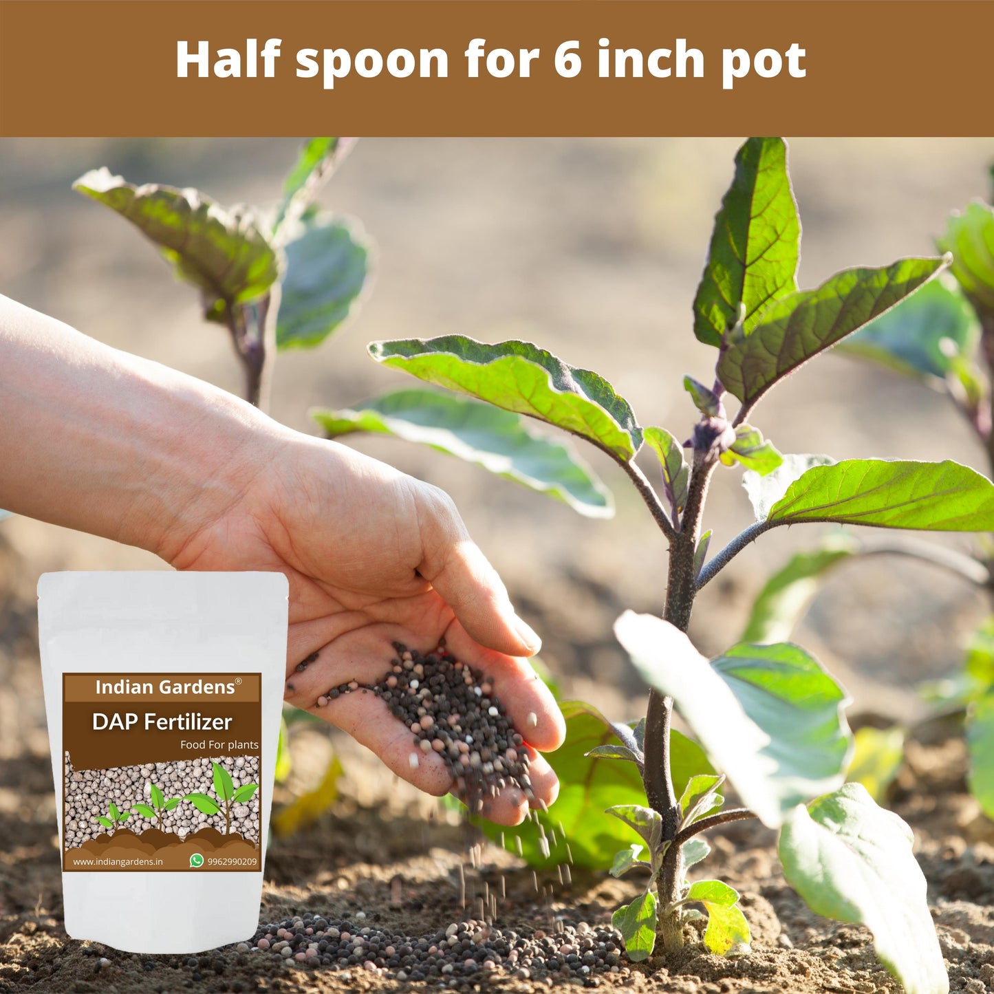 Organic Dap Similar To Organic Plant Food Prom Fertilizer Powder For Plants | Plant Nutrient And Plant Food | Gardening