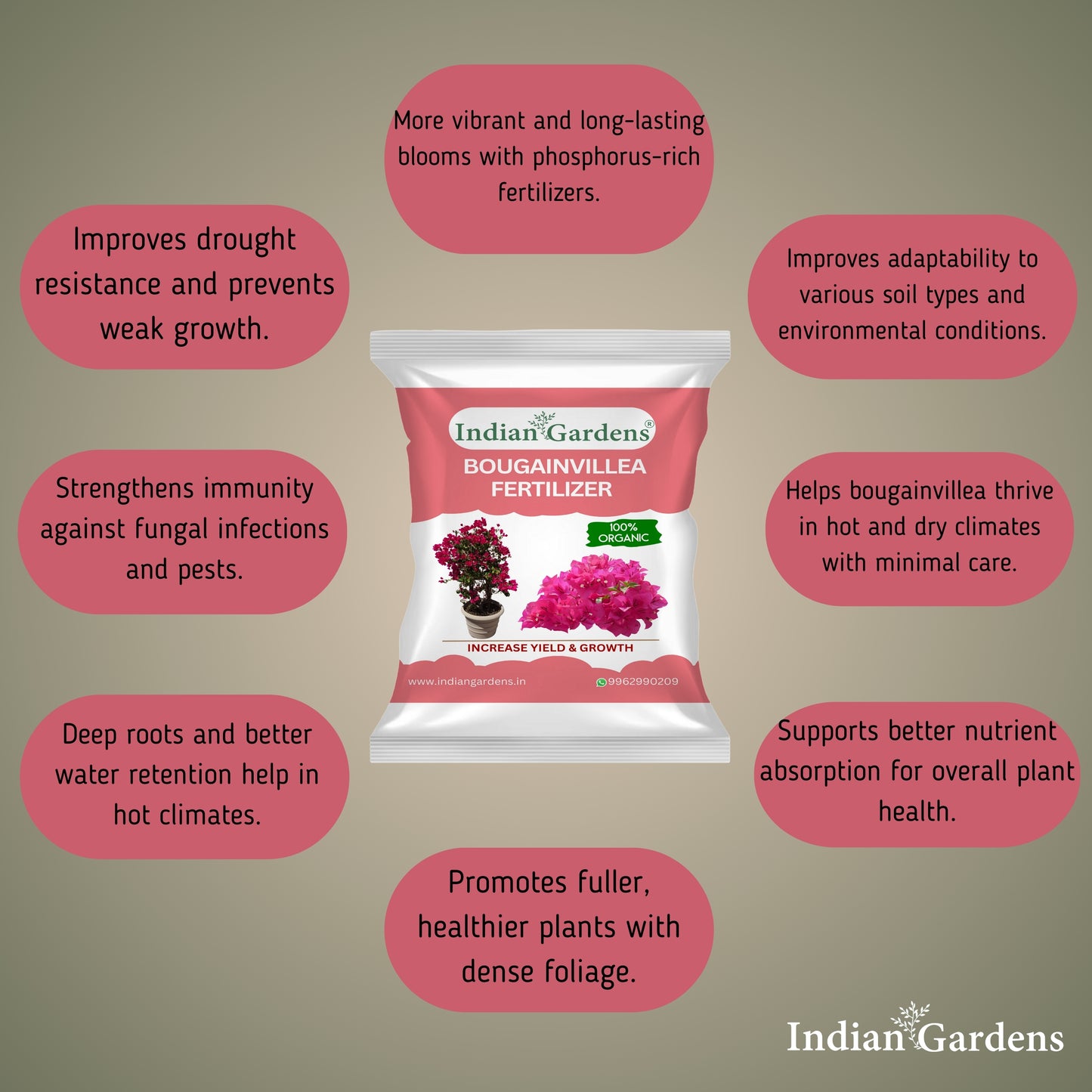 Bougainvillea Fertilizer | Flowering Plant Fertilizer | Slow-Release Plant Food | Organic Fertilizer