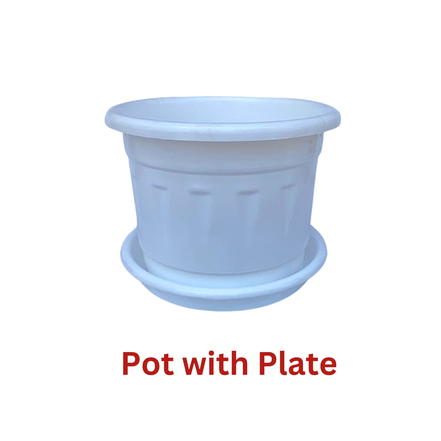 8 Inch Nursery Plastic Pot with Plate Colour