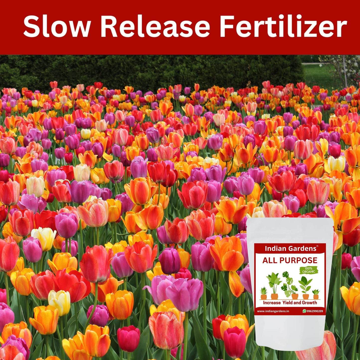 All Purpose Fertilizer for All Plants