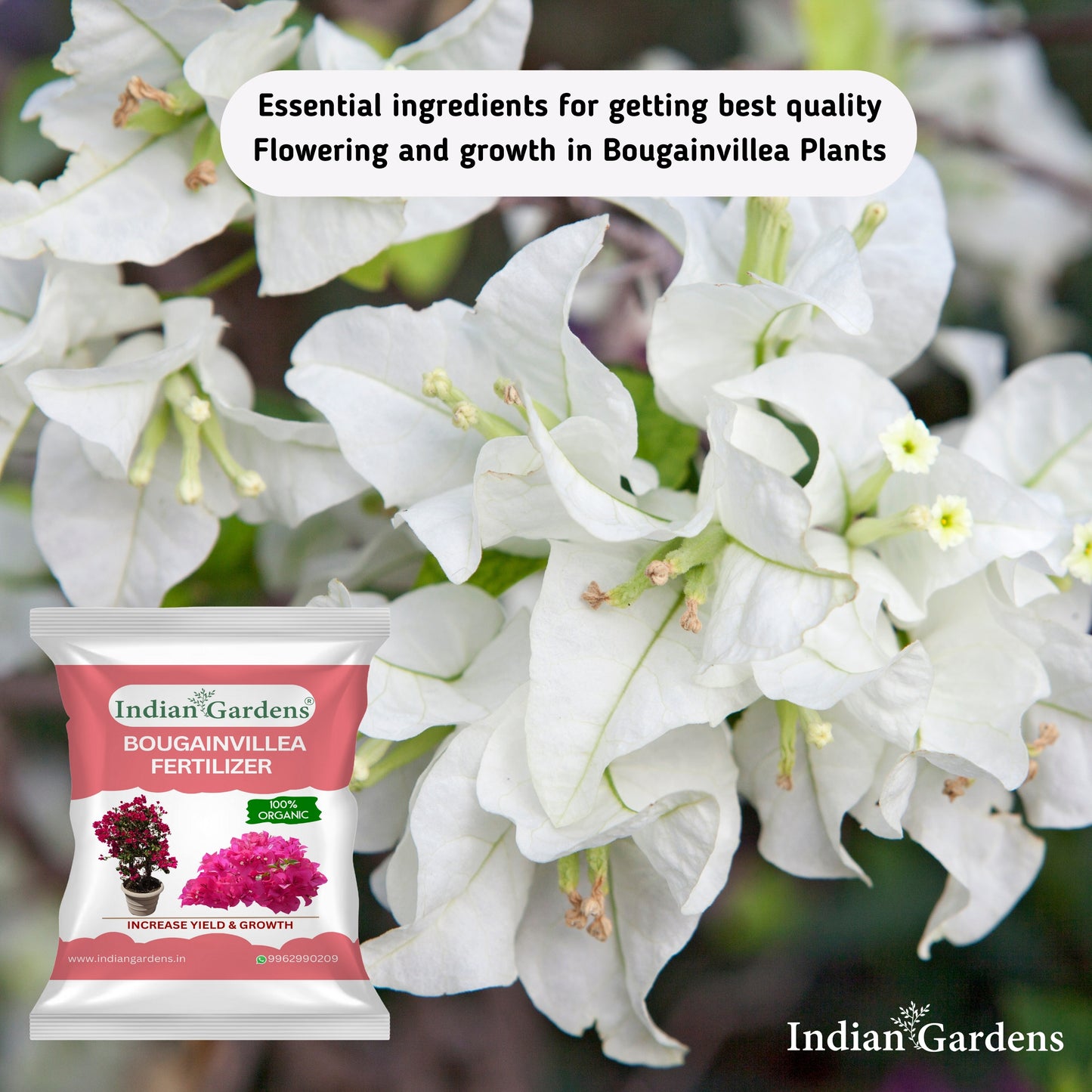 Bougainvillea Fertilizer | Flowering Plant Fertilizer | Slow-Release Plant Food | Organic Fertilizer