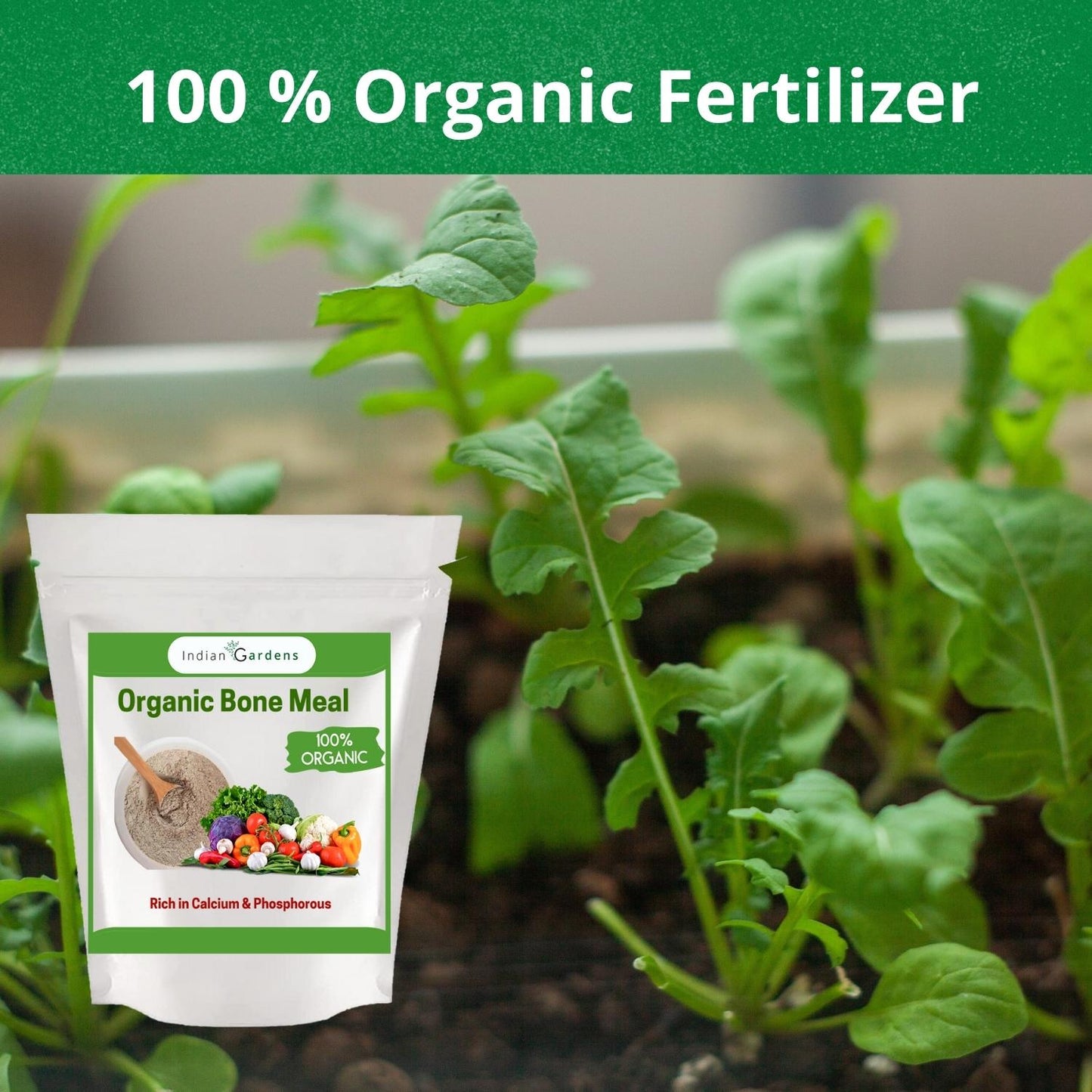 Bone Meal Powder 100% Organic Plant fertilizer | Rich in Calcium and Phosphorus | Plant Fertilizer | Home Gardening