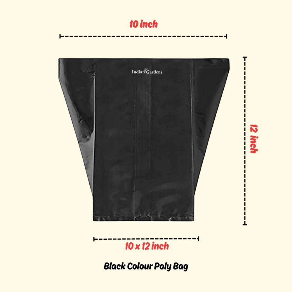 8 x 10 Inch Black Colour Poly Bag | for Home Gardens Perfect for Plantation | Nursery for Vegetable and Flowering Plants