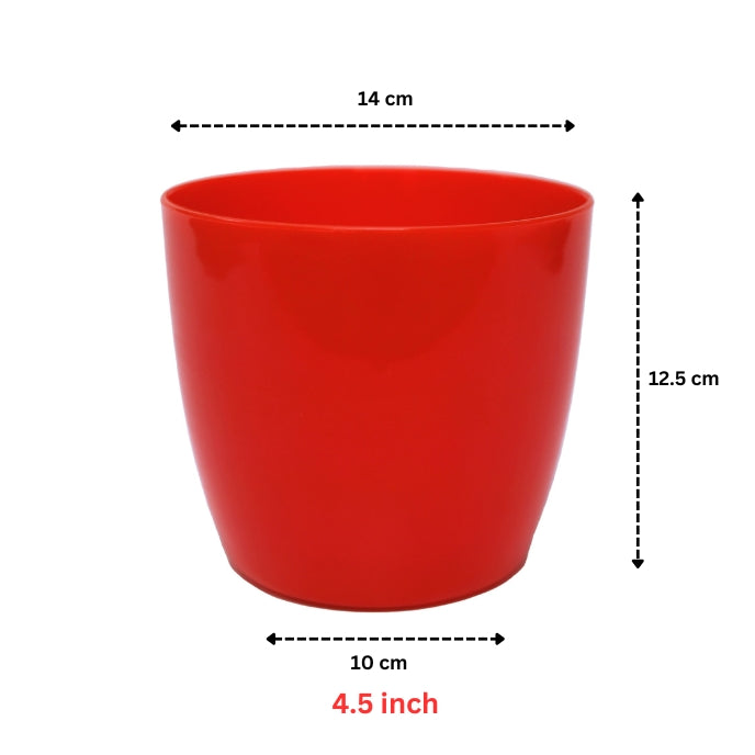 Indoor Plastic Small |Any Colour - Pack of 6