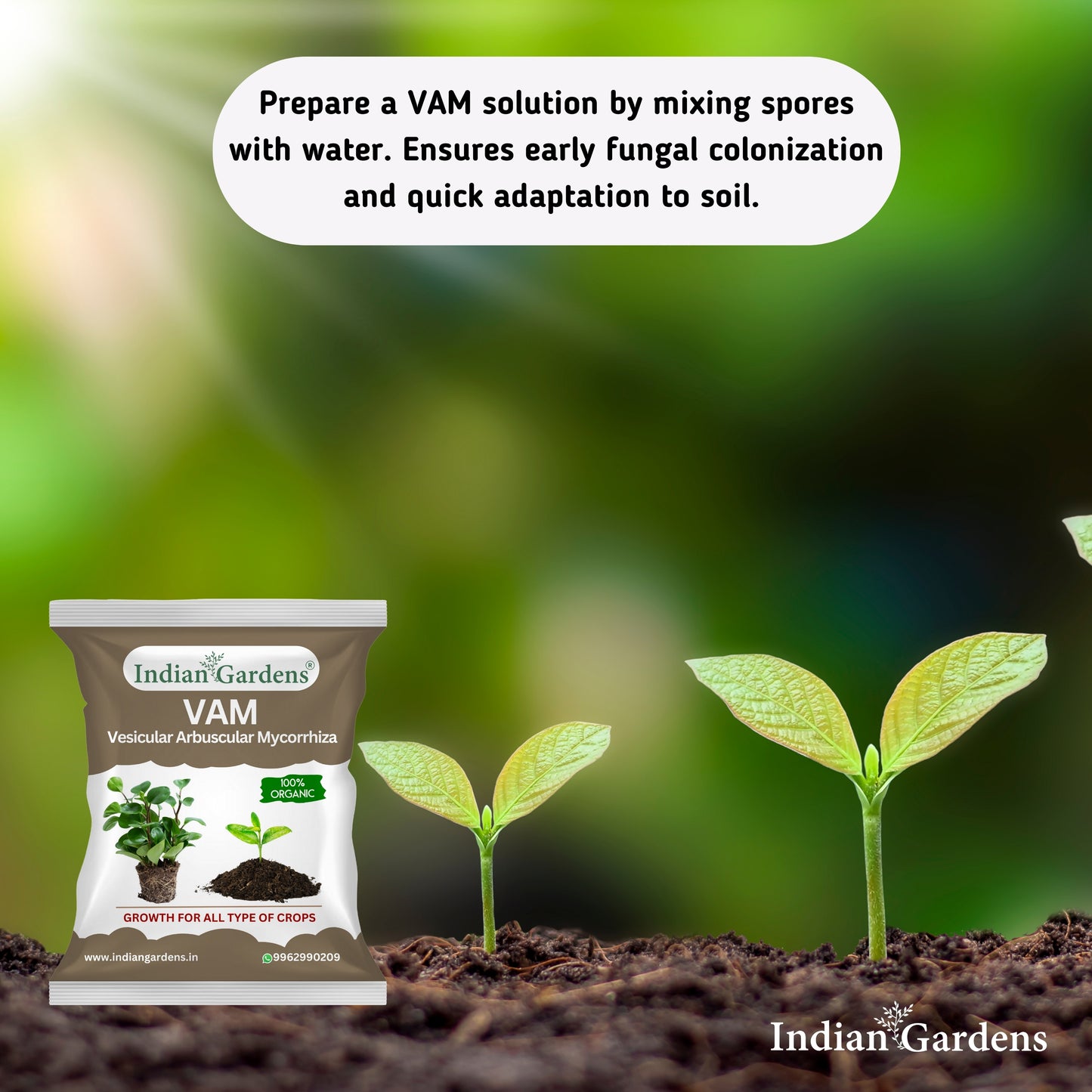 VAM (Vesicular Arbuscular Mycorrhiza) Bio fertilizer for All Plants | Root Growth Booster | Organic Plant Food