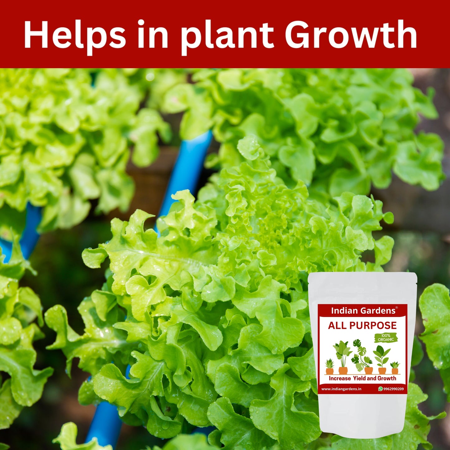 All Purpose Fertilizer for All Plants