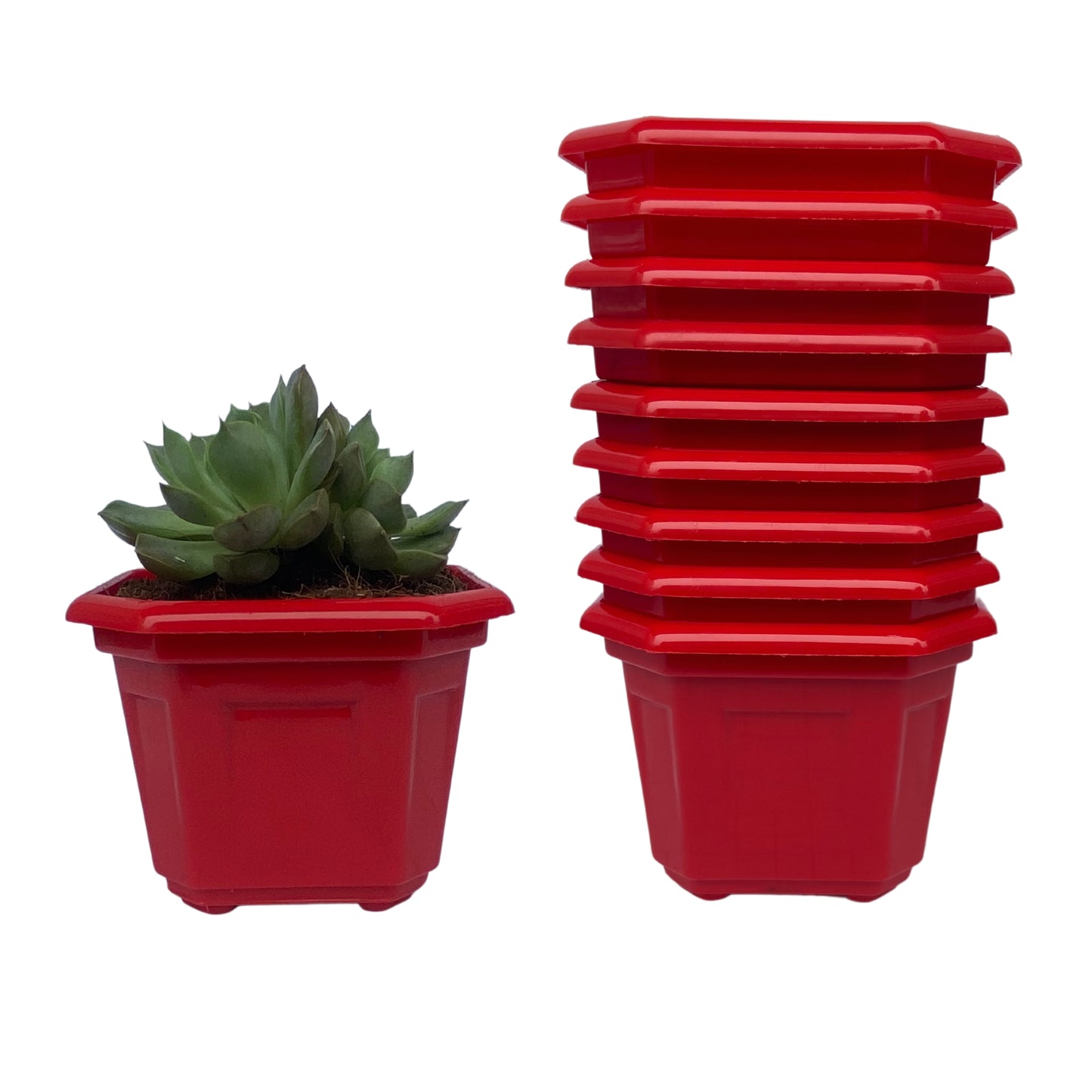 Indoor Plastic Small |Octa 4 Pots | Colour Pot