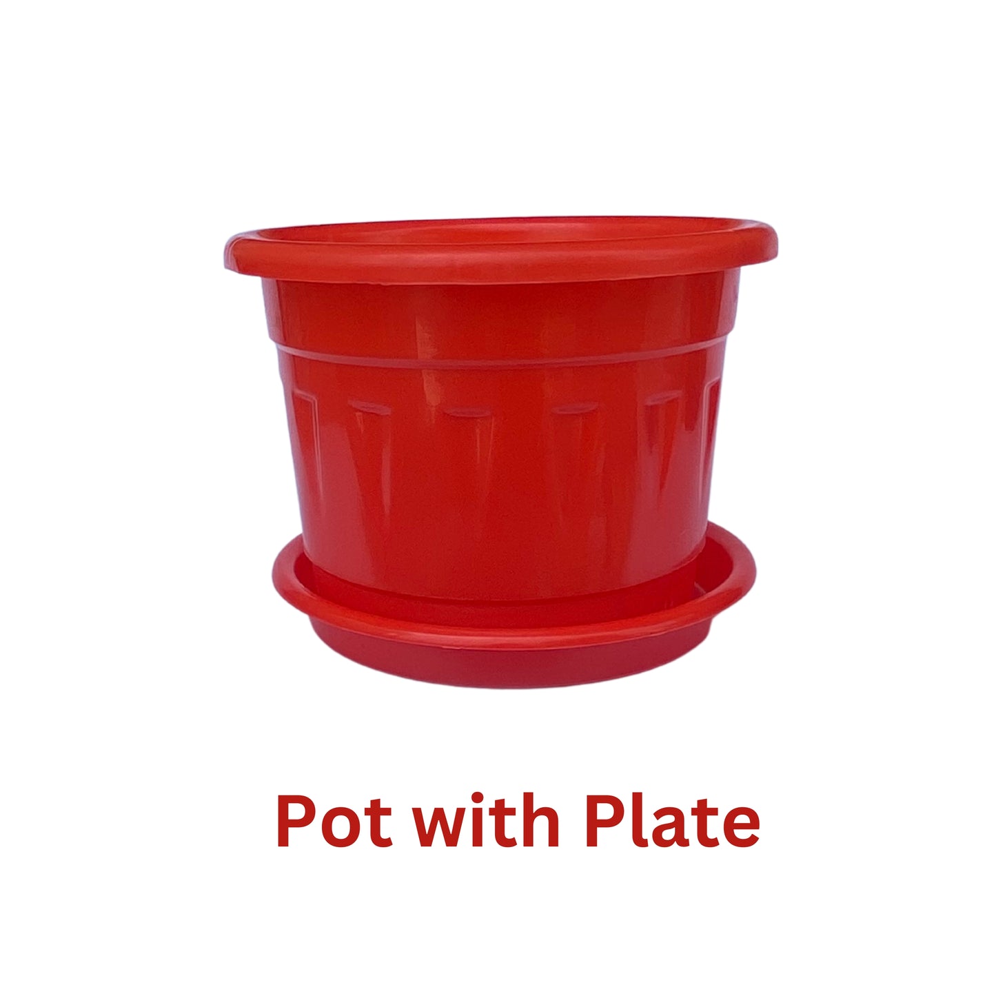 8 Inch Nursery Plastic Pot with Plate Colour