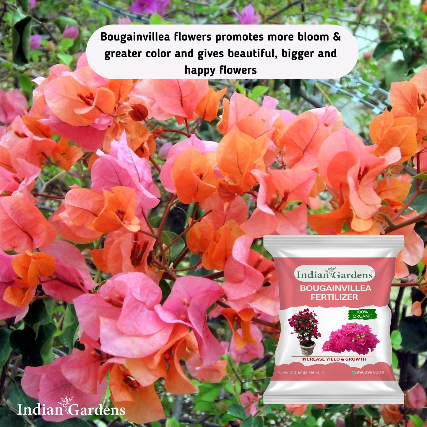 Bougainvillea Fertilizer | Flowering Plant Fertilizer | Slow-Release Plant Food | Organic Fertilizer