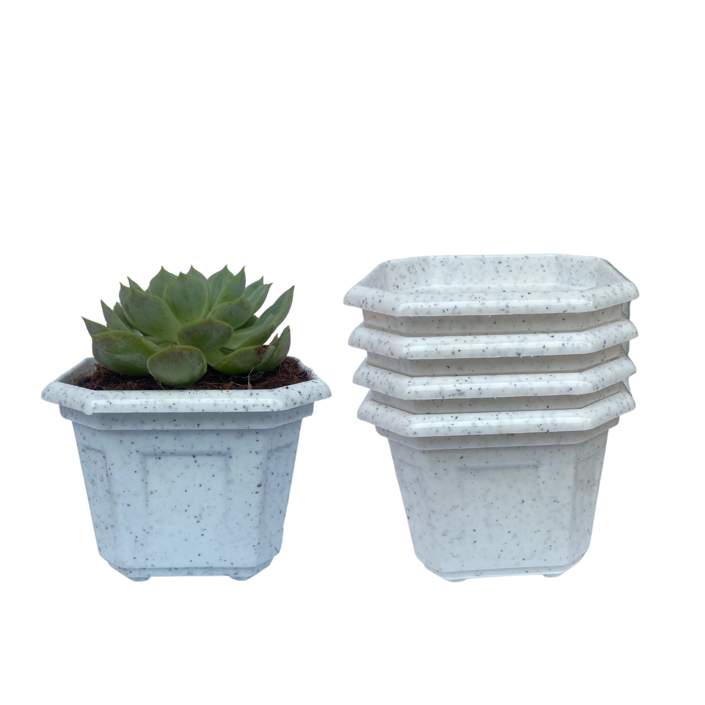 Indoor Plastic Small |Octa 4 Pots | Colour Pot