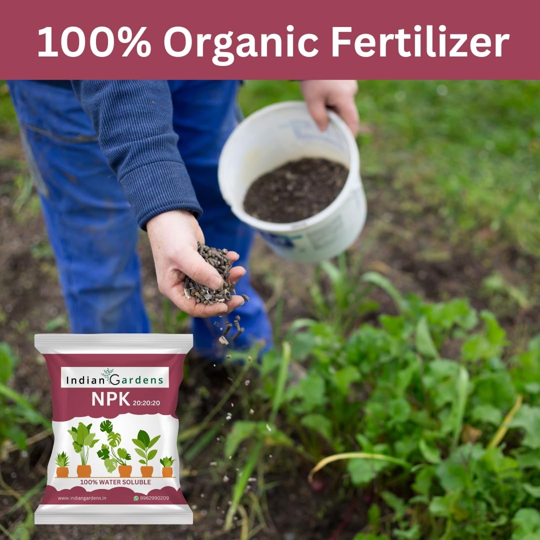 Npk 20:20:20 Fertilizer Powder For All Garden Plants | Water Soluable | Plant Growth Booster | Plant Food