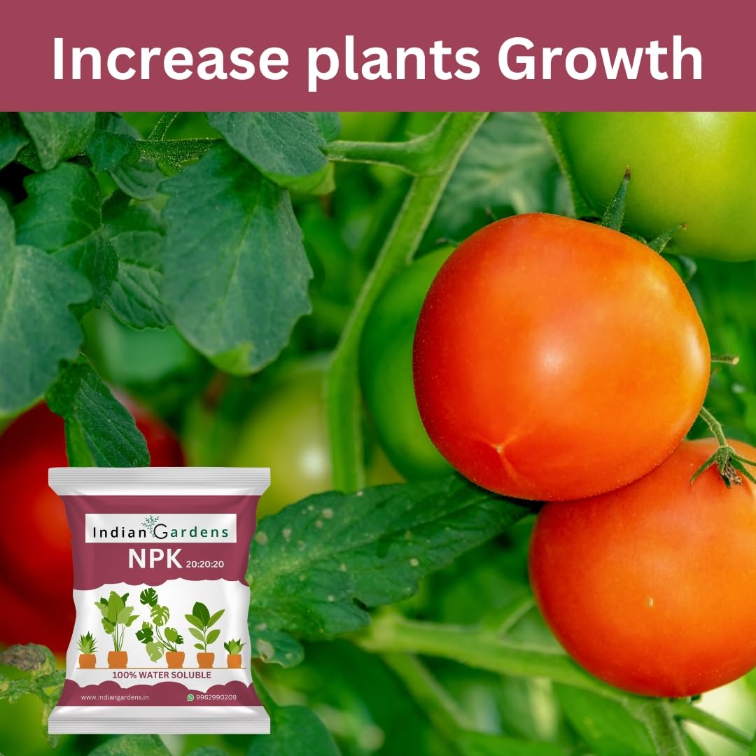 Npk 20:20:20 Fertilizer Powder For All Garden Plants | Water Soluable | Plant Growth Booster | Plant Food