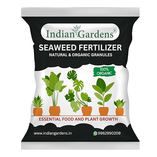 Seaweed Fertilizer