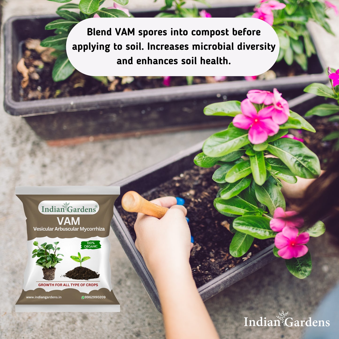 VAM (Vesicular Arbuscular Mycorrhiza) Bio fertilizer for All Plants | Root Growth Booster | Organic Plant Food
