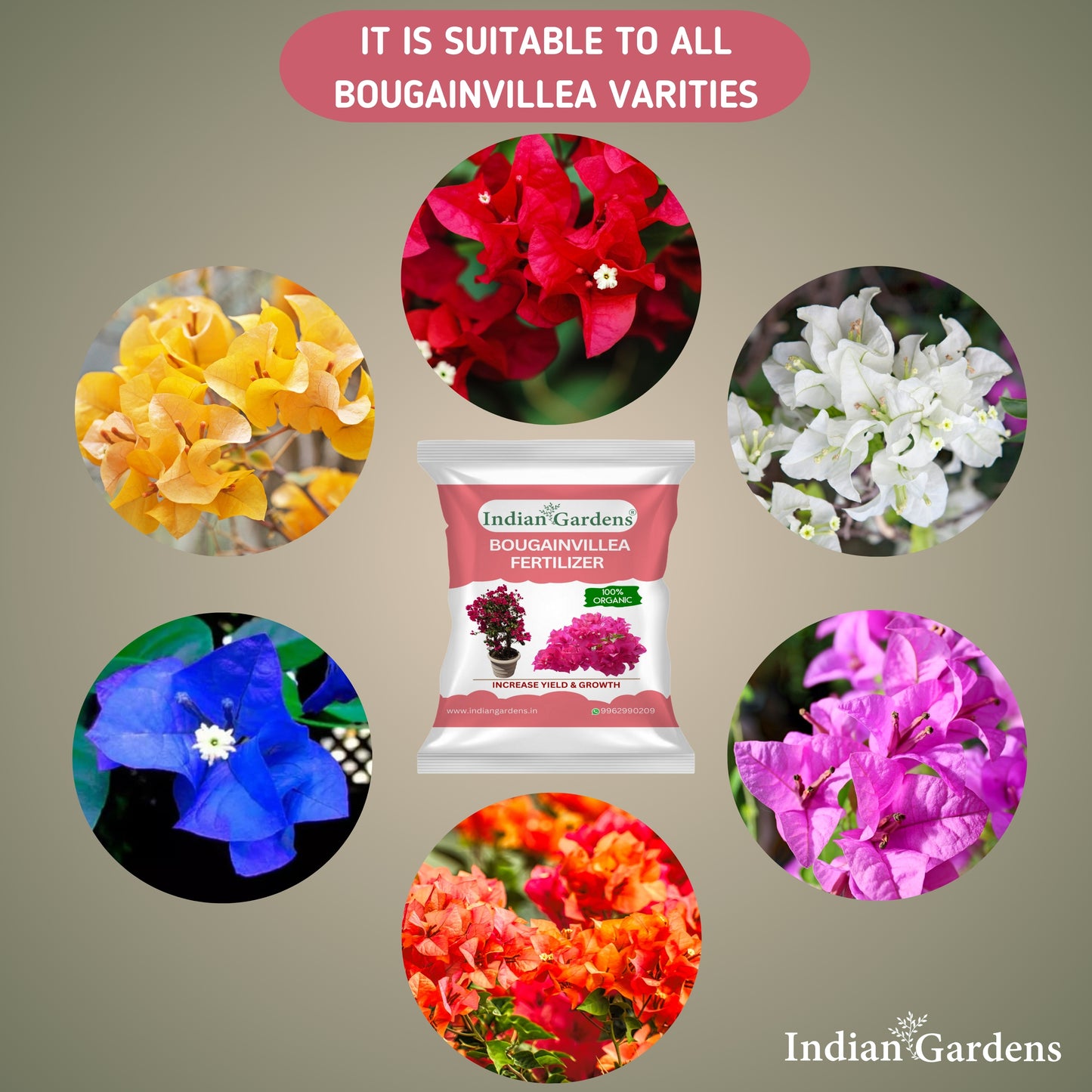 Bougainvillea Fertilizer | Flowering Plant Fertilizer | Slow-Release Plant Food | Organic Fertilizer