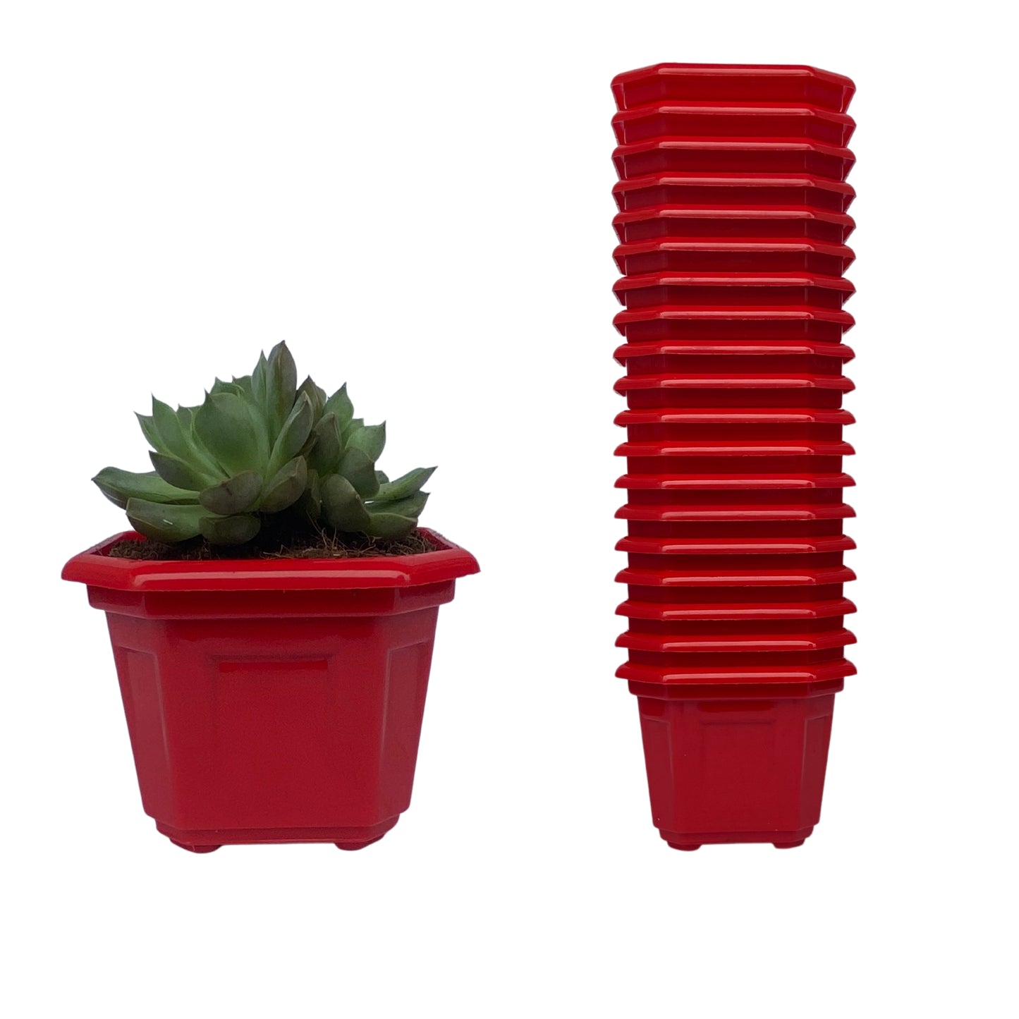 Indoor Plastic Small |Octa 4 Pots | Colour Pot