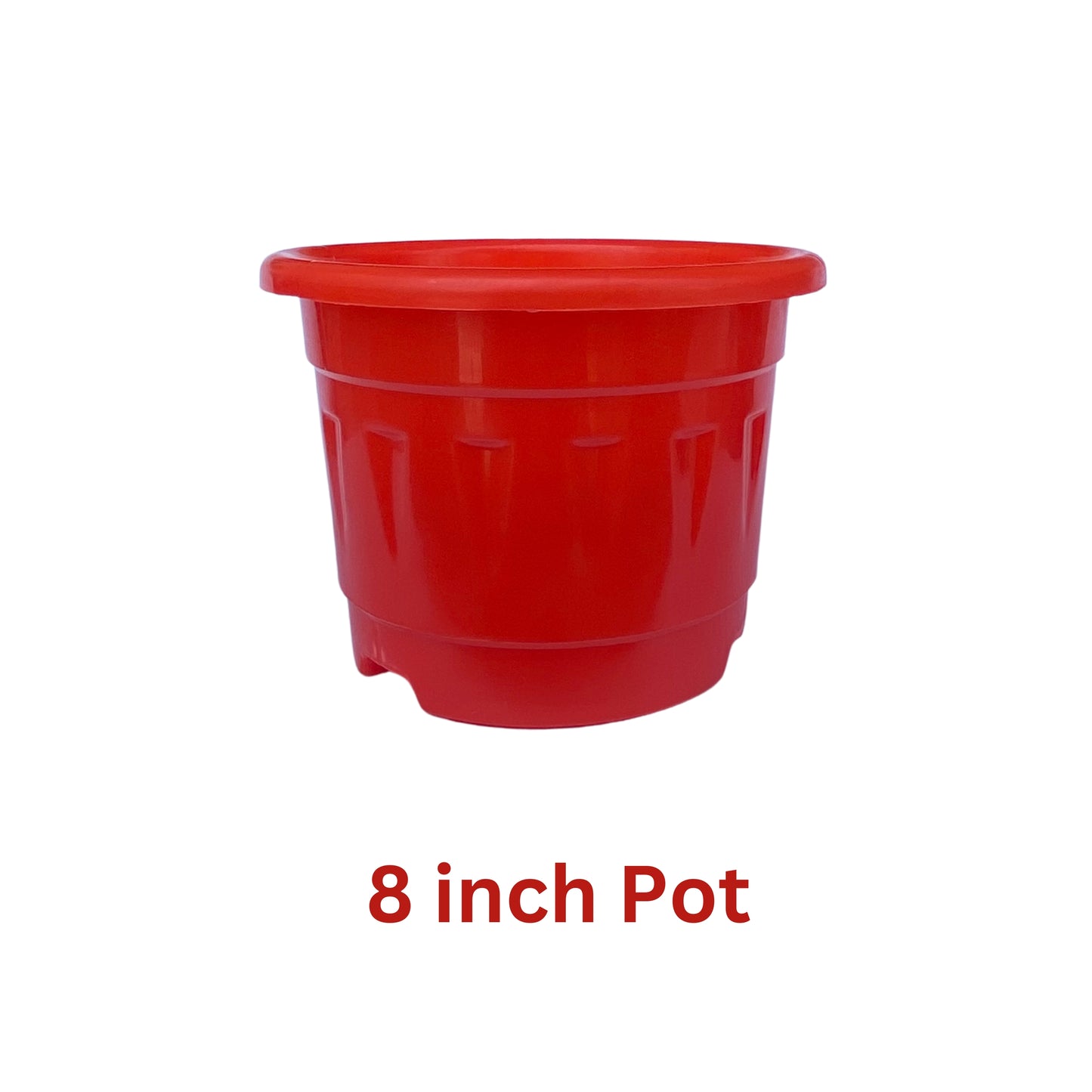 8 Inch Nursery Plastic Pot with Plate Colour
