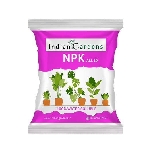 Npk 19 Fertilizer Powder For Plants