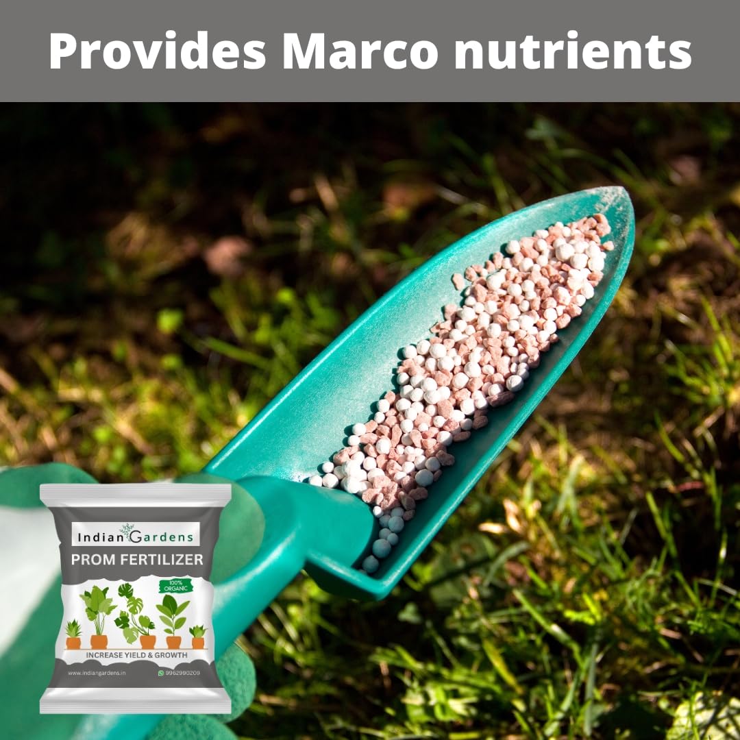Prom Fertilizer For Plants | Plant Nutrient And Plant Food | All Plants | Gardening