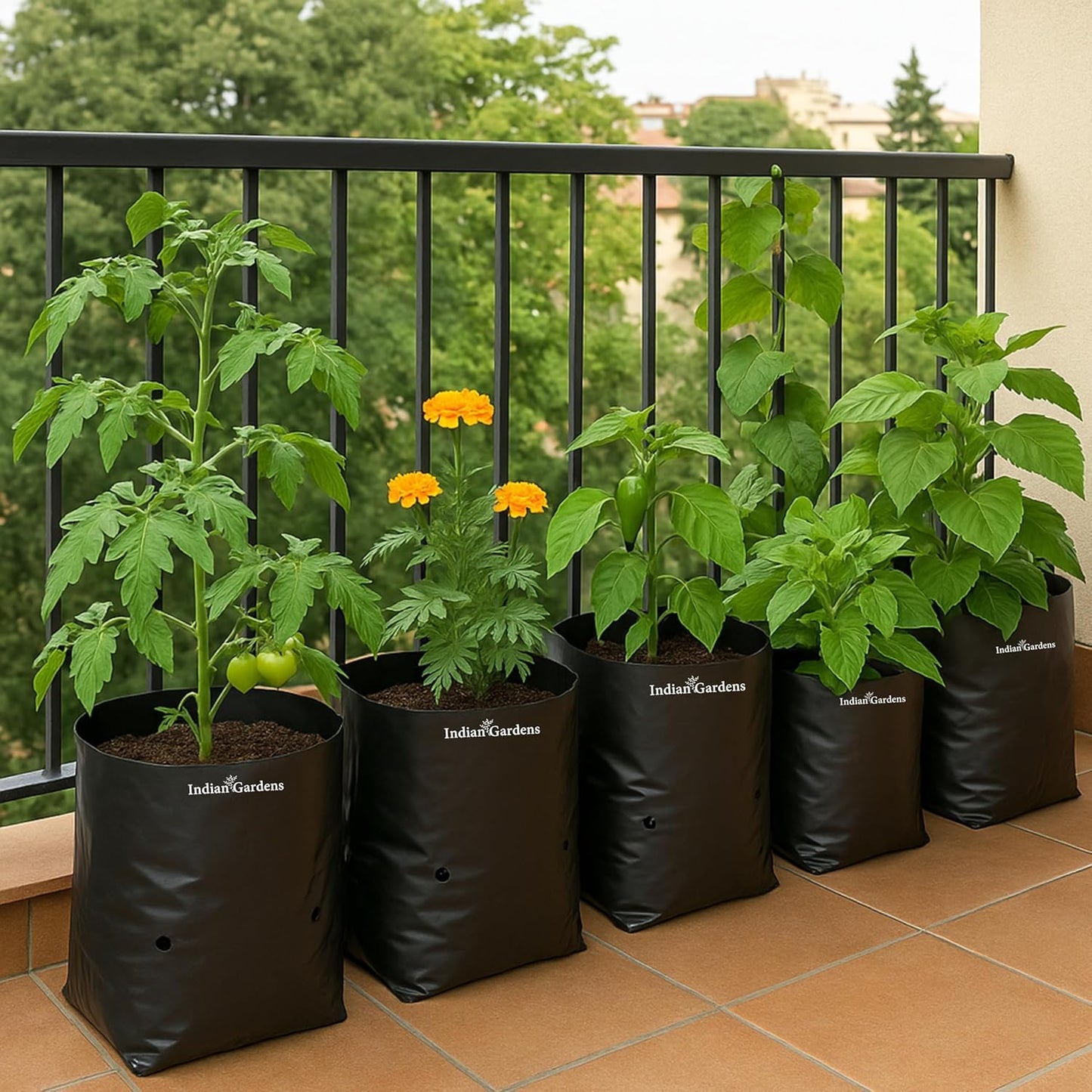 10 x 12 Inch Black Colour Poly Bag | for Home Gardens Perfect for Plantation | Nursery for Vegetable and Flowering Plants