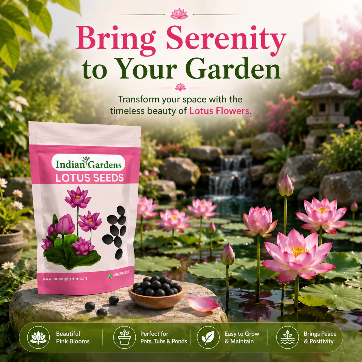 Lotus Seed for Planting ( Pack of 20 ) Lotus Flower Seeds for Home Decor.