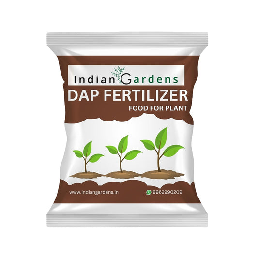Organic Dap Similar To Organic Plant Food Prom Fertilizer Powder For Plants | Plant Nutrient And Plant Food | Gardening
