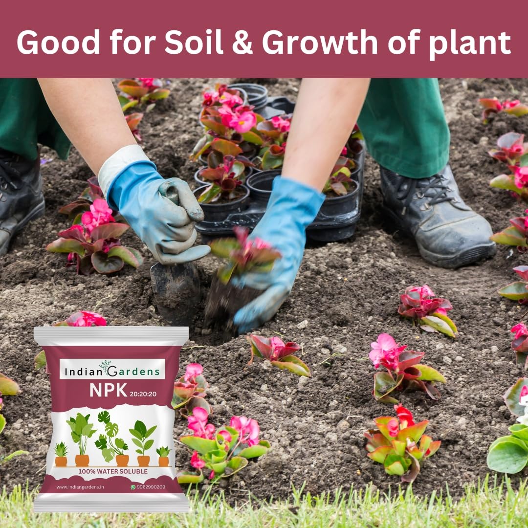 Npk 20:20:20 Fertilizer Powder For All Garden Plants | Water Soluable | Plant Growth Booster | Plant Food
