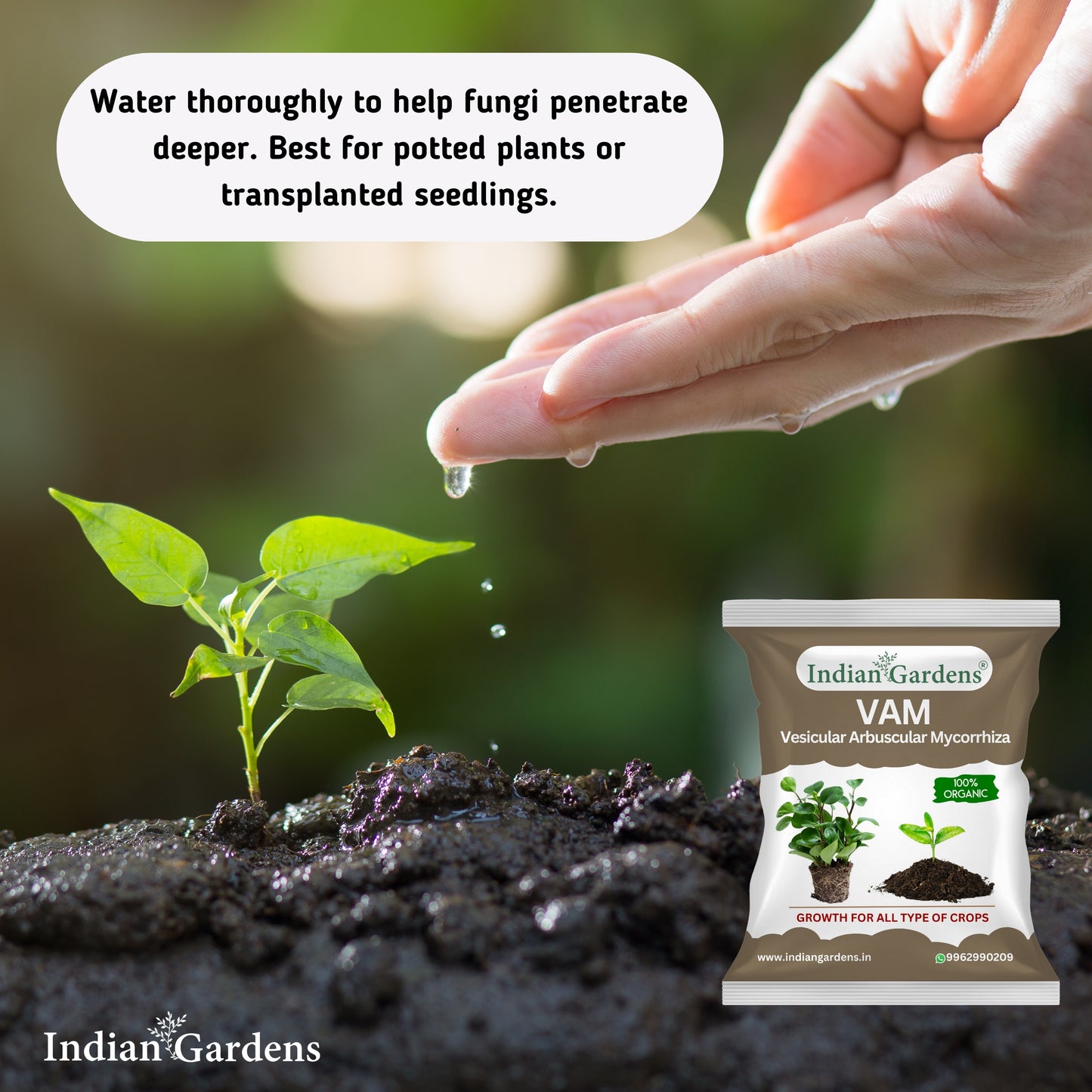 VAM (Vesicular Arbuscular Mycorrhiza) Bio fertilizer for All Plants | Root Growth Booster | Organic Plant Food