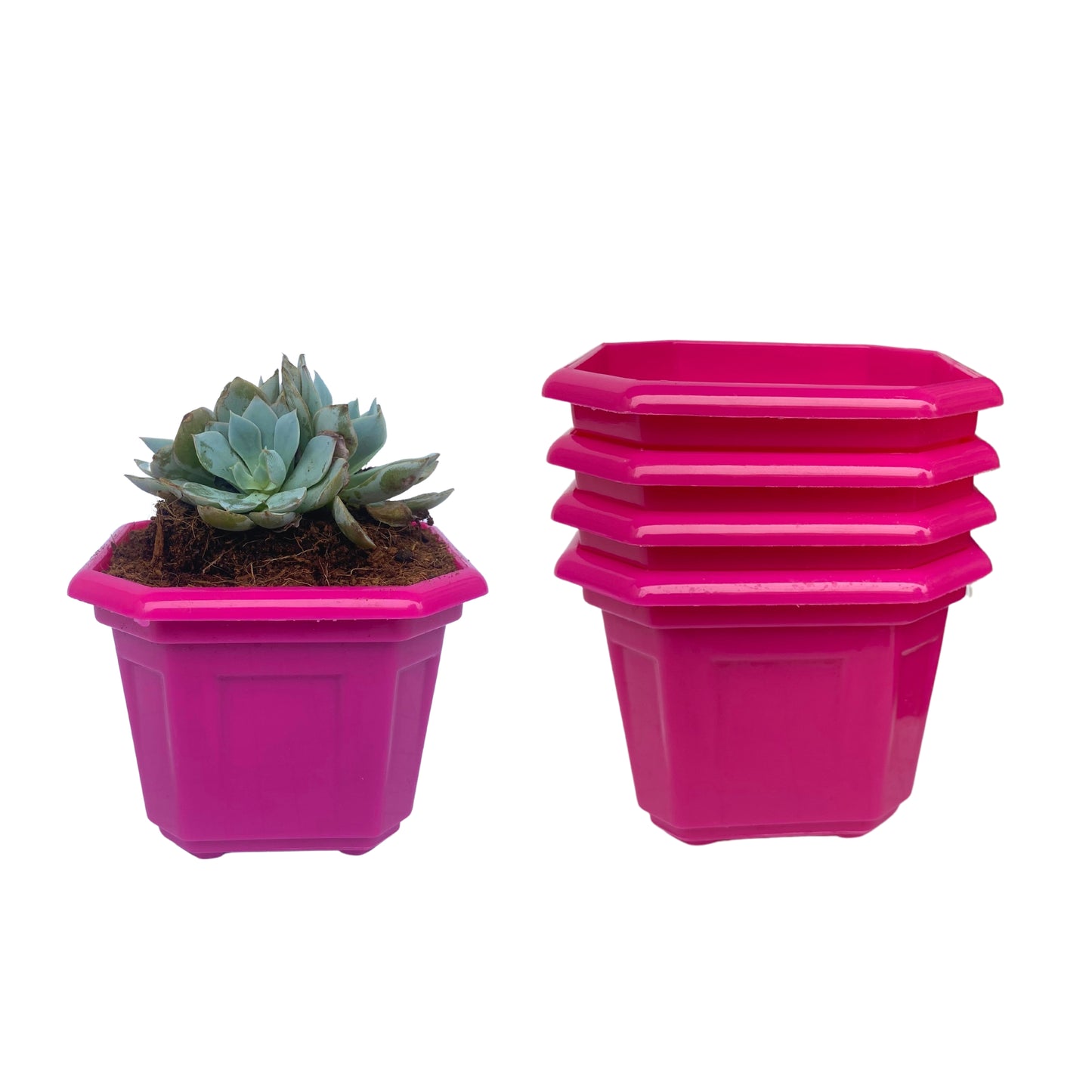 Indoor Plastic Small |Octa 4 Pots | Colour Pot