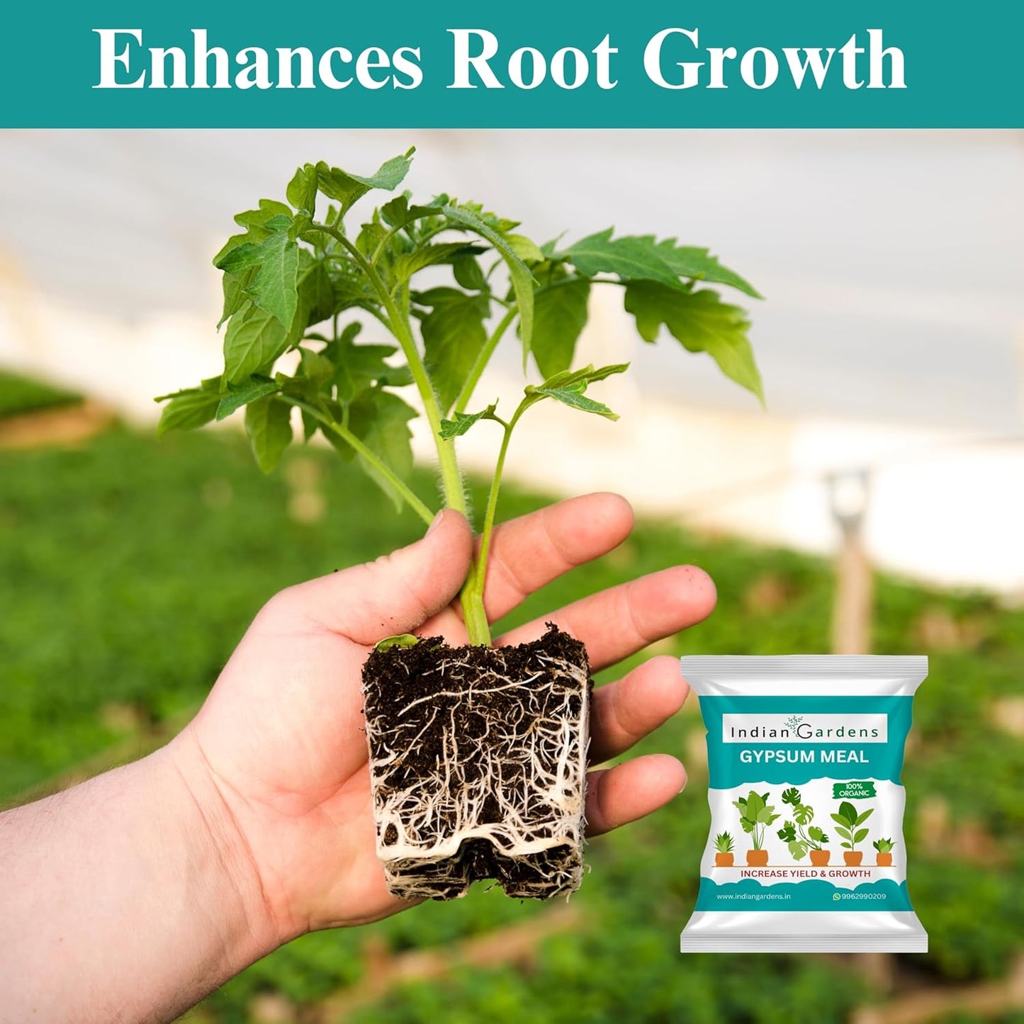 Gypsum fertilizer for plants | Gypsum Soil Amendment | Soil Conditioner | Gypsum Powder | Natural Gypsum | Plant Food